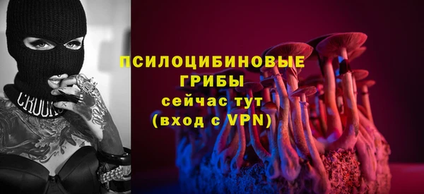 герыч Бронницы