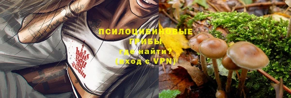 винт Бугульма