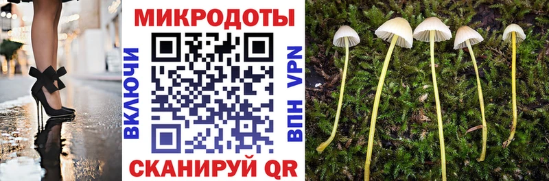 Псилоцибиновые грибы Psilocybe  ссылка на мегу рабочий сайт  Межгорье 