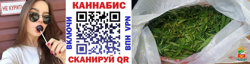 Конопля гибрид  Межгорье 